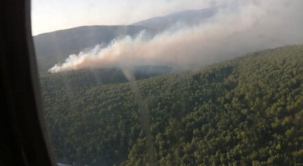 İzmir'de orman yangını! Müdahale başladı - gundem
