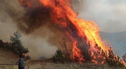 Karabük yangını rüzgarın etkisiyle ilerliyor - yasam