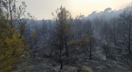 Karpuzlu’daki yangın kontrol altına alındı - ekonomi