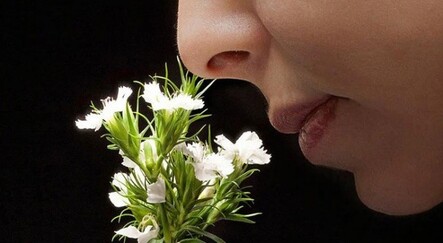 Koku bozukluğu depresyona sokuyor - saglik
