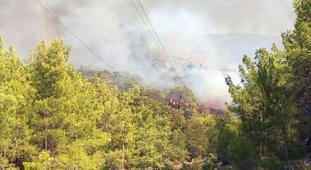 Muğla’da orman yangını! Havadan müdahale ediliyor - gundem