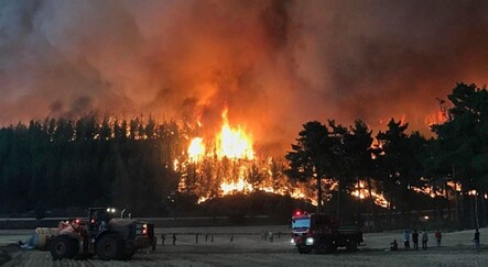Muğla Kavaklıdere'de yangın evlere yaklaştı! Bir mahalle boşaltılıyor - gundem