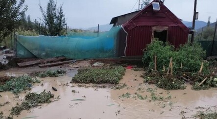 Oltu’da seralar zarar gördü, kümes hayvanları telef oldu - yasam