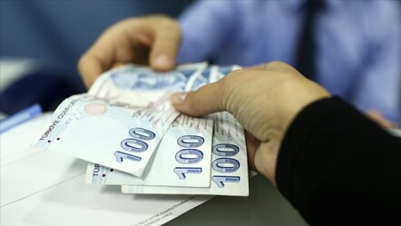 Orman yangınlarından etkilenen yerler için beyanname verme ve vergi ödeme süreleri ertelendi - ekonomi
