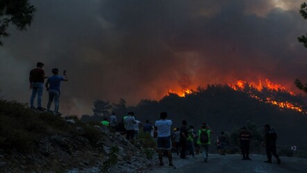 Sağkaya: Yangınlar planlı bir şekilde çıkarıldı - gundem