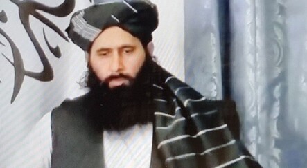 Taliban sözcüsü: Türkiye'den halkımıza yardım etmesini istiyoruz - dunya