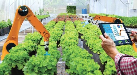 Tarım alanındaki startup’lara destek - ekonomi