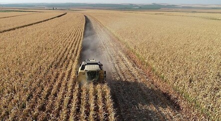 Tarımsal emtialar sanayi ürünlerine fark atıyor! - ekonomi