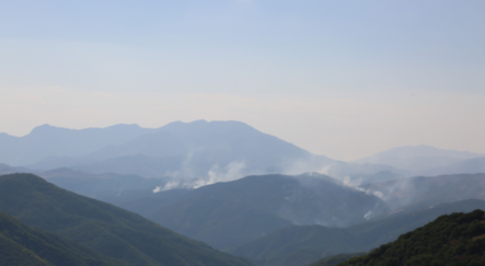 Tunceli'deki yangınlara havadan ve karadan müdahale ediliyor - yasam