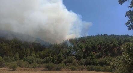 Uşak’ta çıkan yangın kontrol altına alındı - yasam