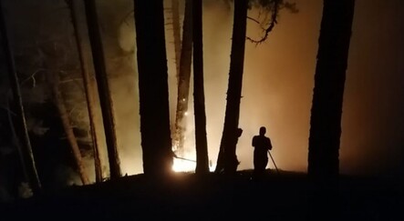 Yangınlar psikolojimizi kötü etkiledi - turkiye-cumartesi