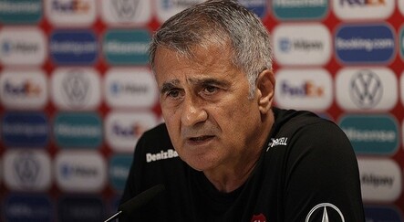 A Milli Takım'da Şenol Güneş dönemi sona erdi - spor