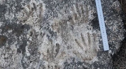 Bilim adamlarından tarihi keşif! Dünyanın en eski sanat eseri bulundu - dunya