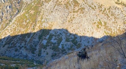 Bitlis'te 4 terörist etkisiz hale getirildi - gundem
