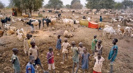 BM açıkladı: Güney Sudan'da 100 binden fazla kişi açlık kriziyle karşı karşıya - dunya