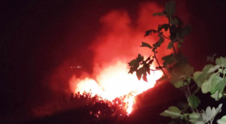 Bodrum'da çıkan orman yangını kontrol altına alındı - yasam