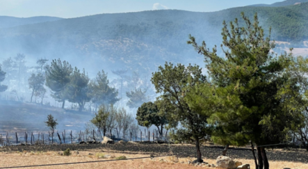 Çanakkale'de orman yangını! Havadan müdahale ediliyor - ekonomi