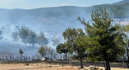 Çanakkale'deki orman yangınında 30 hektarlık alan zarar gördü - ekonomi