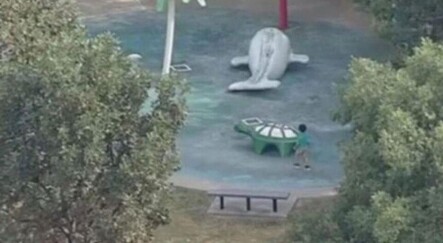Parkta korkunç olay! Çocuğun burnundan giren amip beynini yedi - saglik