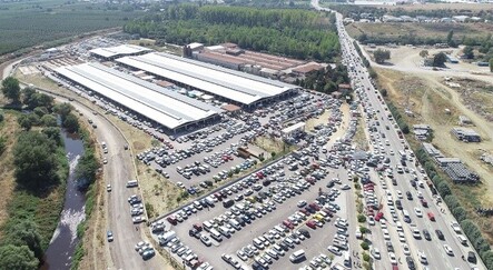 Gelenler gözlerine inanamadı! Burası oto pazarı değil bitpazarı - ekonomi