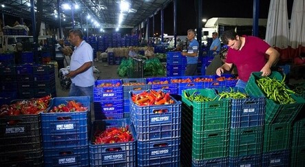 Gıdada ucuzluk için düğmeye basılıyor - turkiye