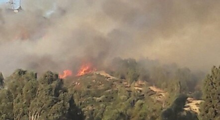 İzmir'de ormanlık alanda çıkan yangın kontrol altında - gundem