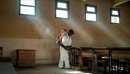Madagaskar'da veba salgını: 7 ölü - dunya