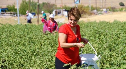 Market fiyatlarına kızan vatandaş tarlasındaki tüm ürünleri 3 liraya sabitledi! - ekonomi