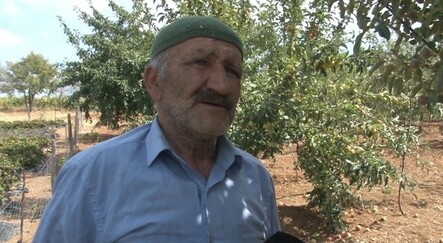 Merak edip dereden getirdi... Şimdi 5 ton hasat yapıyor - yasam
