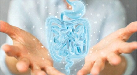 Sağlıklı bağırsak Alzheimer  riskini düşürüyor - saglik