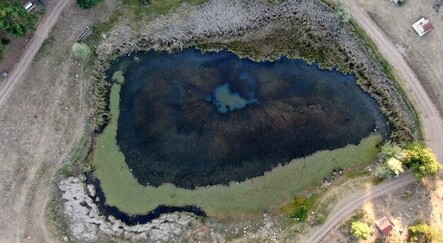 Sülük hırsızları köylüyü canından bezdirdi - yasam