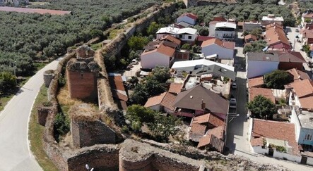 Tarihi surların içerisinde kendiliğinden yetişti: Koparmaya kıyamadılar - gundem