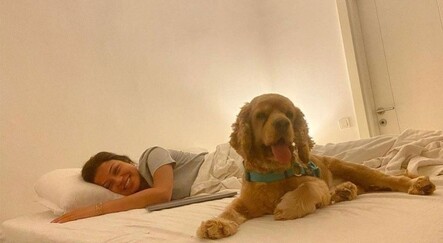 Antalya'da pitbull dehşeti: Sahibinin gözü önünde köpeği öldürdü - yasam