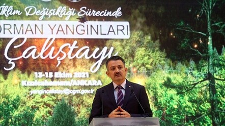 Bakan Pakdemirli:  Yanan alanları tekrar ağaçlandıracağız - gundem