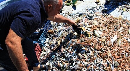 Balıkçılar endişeli! Akdeniz’de balıktan çok çöp çıkıyor - ekonomi