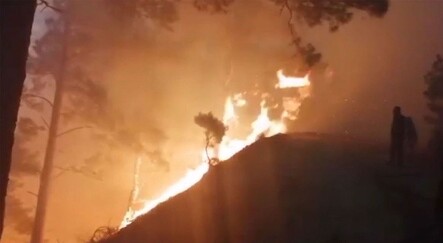 Balıkesir'in Edremit ilçesinde çıkan orman yangınına müdahale ediliyor - yasam