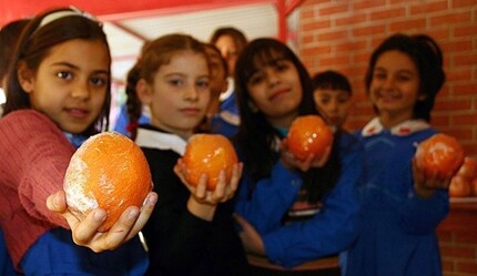 Beslenme çantası hazırlayan ebeveynlere 'paketli ve hazır gıda' uyarısı - saglik