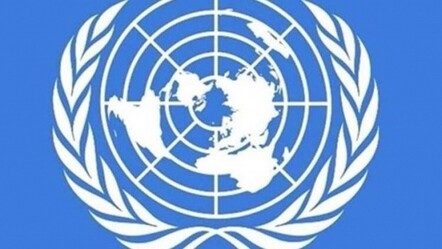 BM'den Libya'da sığınmacılara yönelik saldırıların durdurulması çağrısı - dunya