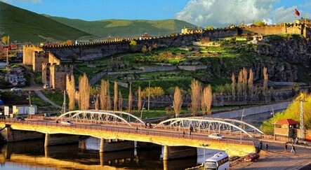 Ender görülen gelincik şehir merkezine indi - yasam