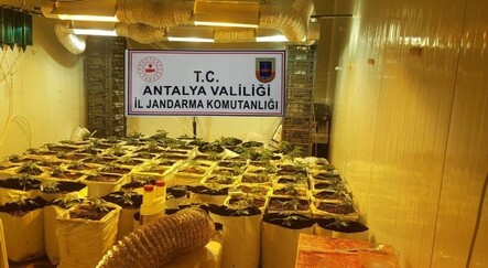 Konteyneri uyuşturucu serasına dönüştürmüşler - gundem
