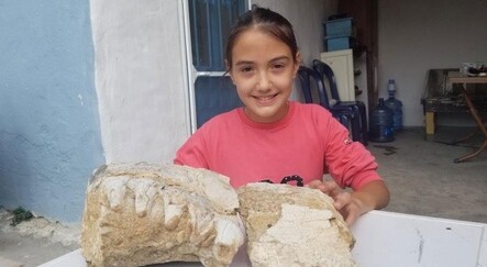 Manisa'da 10 yaşındaki kız milyonlarca yıllık fosil bulmuş olabilir - teknoloji