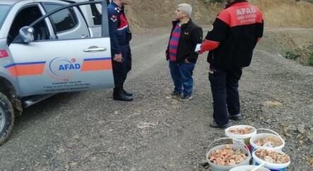 Mantar toplarken kaybolmuşlardı, bulundular - yasam