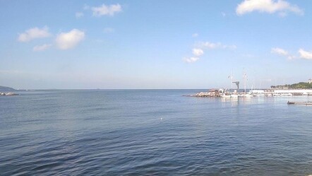 Marmara Denizi'nde iklimsel tehlike: Suyu ısınmaya başladı - gundem