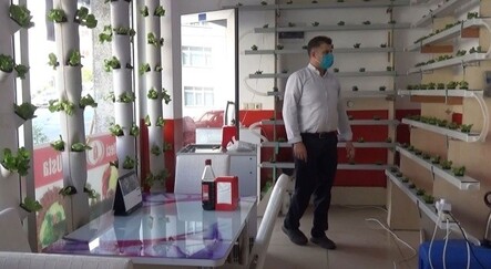 Müşteriler dekor sanıyor: Çiğköfte dükkanında marul yetiştiriyor - yasam