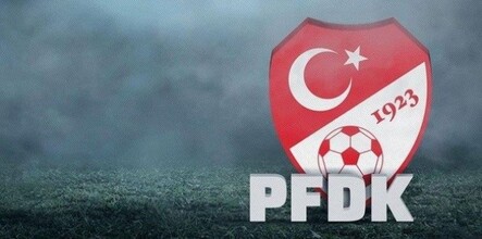 PFDK'dan Sergen Yalçın'a bir maç ceza - spor