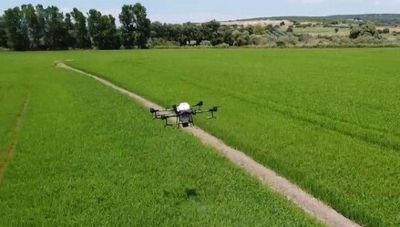 Tarımda drone teknolojisi yaygınlaşıyor - teknoloji