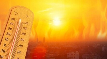 Yüzde 200 arttı! Aşırı sıcaklıklar hızla büyüyen şehirleri ölümle tehdit ediyor - dunya