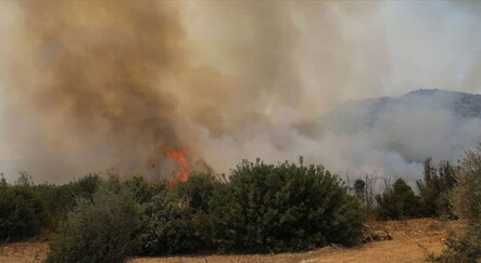 Adana'da çıkan orman yangını kontrol altına alındı - yasam