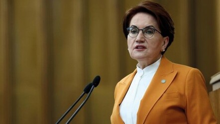 Akşener'den Türkkan açıklaması: Hislerine hakim olması gerekirdi - gundem