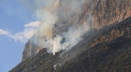 Bakan Pakdemirli, Mersin Bozyazı’daki yangının kontrol altına alındığını bildirdi - ekonomi